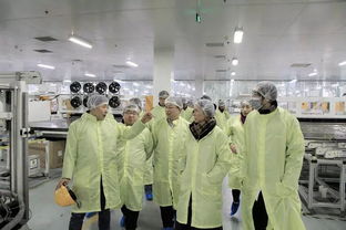 晶硅制造事業(yè)部各級(jí)領(lǐng)導(dǎo)蒞臨海寧工廠指導(dǎo)工作